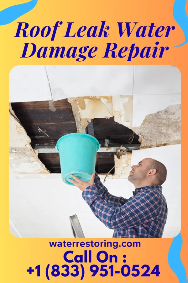 Roof Leak Water Damage Repair in Fairview, MT